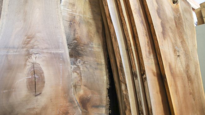 Live Edge Wood Slabs Newtown, PA