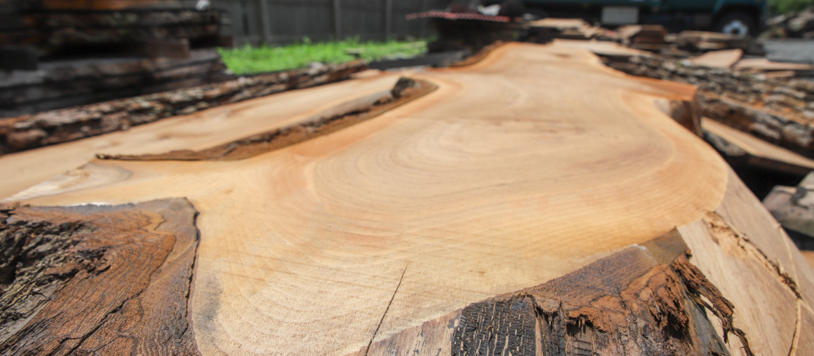 Live Edge Wood Slabs For Sale Chalfont, PA