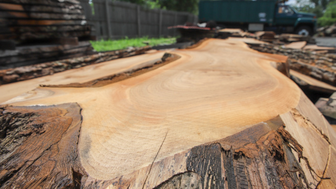 Live Edge Wood Slabs For Sale Chalfont, PA