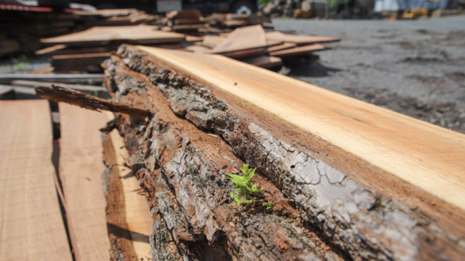 Lumber Yard Plumsteadville, PA